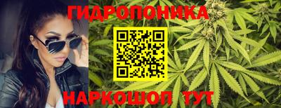 PSILOCYBIN Обь